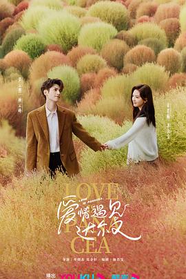 seo需要什么专业的